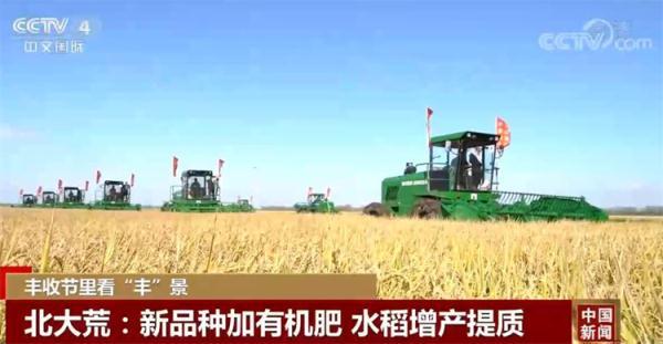 豐收節裏看“豐”景｜農業農村部：全國秋糧收獲2.67億畝 完成20.3%