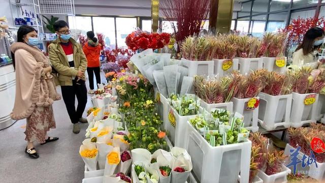 「老广贺春」年花市场涨声一片，本地品种网红产品值得关注