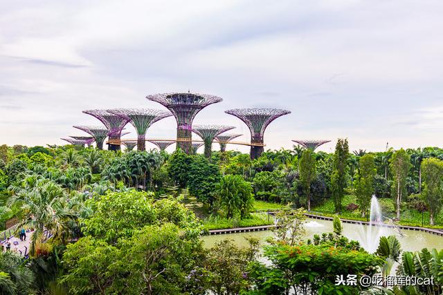 真實版阿凡達花園 新加坡濱海灣花園攻略