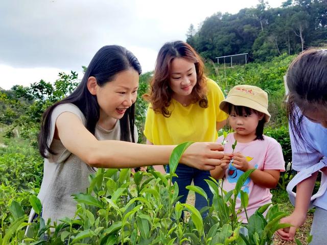 课程预告丨少儿茶艺一级(2期) 寒假课程班预报名啦~