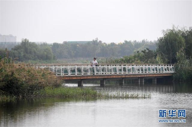 全球綠色城市：中新天津生態城