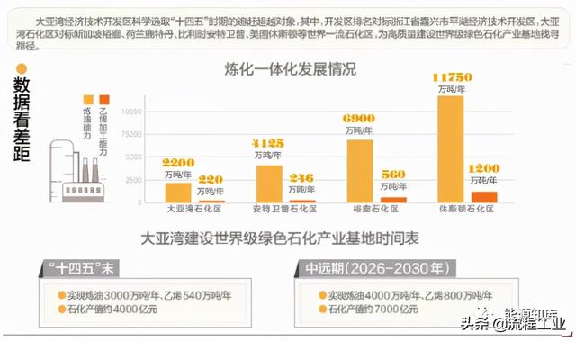 十四五末，大亞灣要形成世界一流石化區