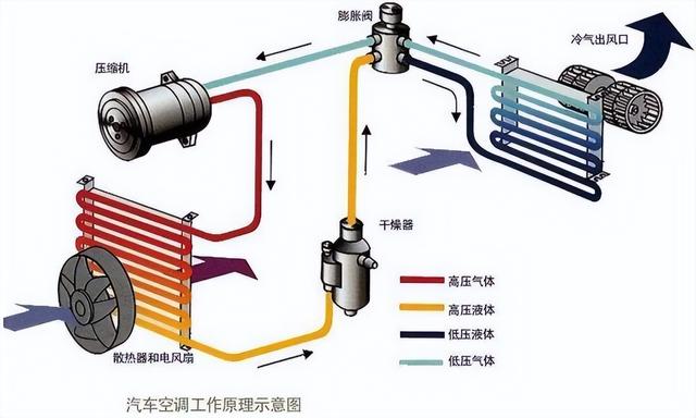 解封后车内发臭有霉味，怎么操作可以快速除味？