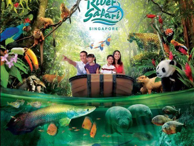 新加坡一卡通“狮城全景通”免费送，立省2000不是梦！