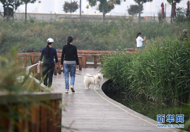 全球绿色城市：中新天津生态城