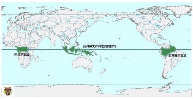 关于热带雨林的冷知识