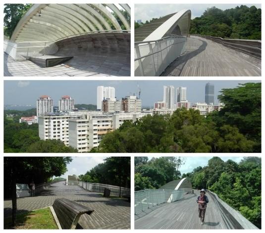 2014年 E-1 新加坡行 A-D5花柏山植物园1