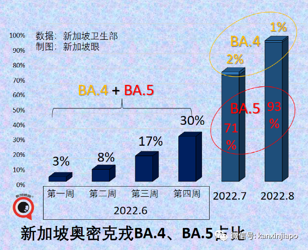 奧密克戎BA.5已成新加坡主流病毒，感染者占新增病例的93%