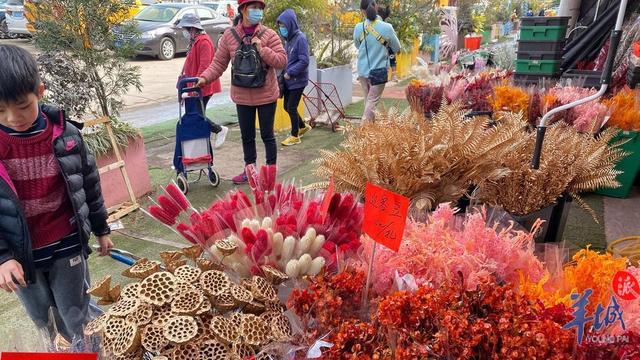 「老廣賀春」年花市場漲聲一片，本地品種網紅産品值得關注