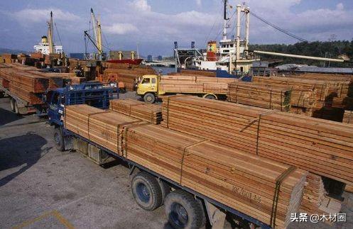 马来西亚木业未来前进之路