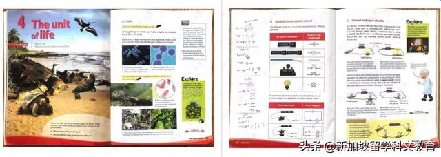 新加坡教育部公布中学截分点，你的小六成绩可以申请哪所学校