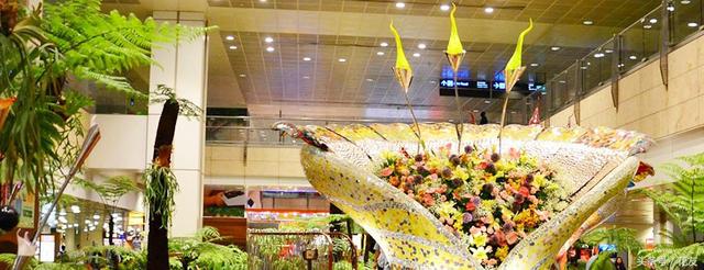 花友花游：新加坡樟宜机场——新加坡爱花、赏花之旅