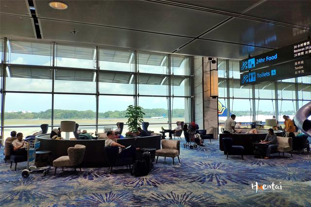 跟着《周游记》玩新加坡，推荐全球最佳机场，感受花园美景