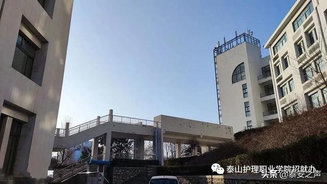 泰山护理职业学院2022年单独招生、综合评价招生简章来了！