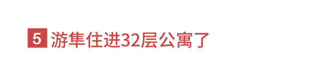 狐狸上街、野猪狂奔。人类消失不见后，动物们有多兴奋