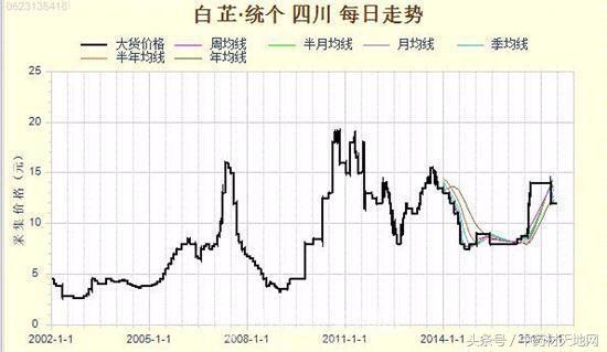 道地药材川白芷需求量大增，但市场以次充好、无序竞争，影响行情发展！