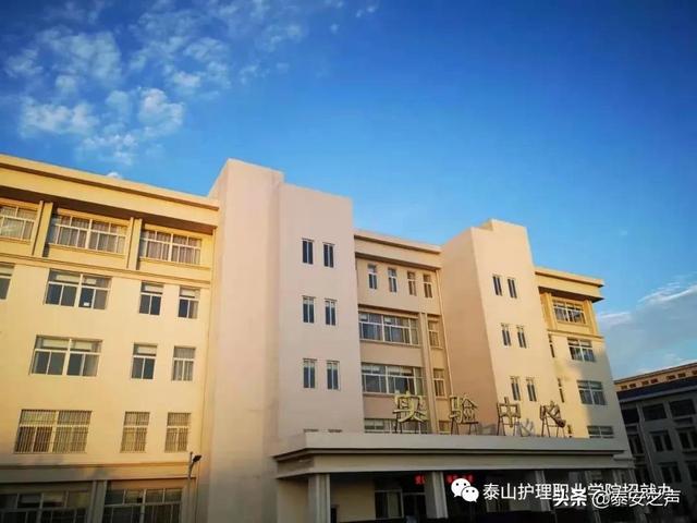 泰山护理职业学院2022年单独招生、综合评价招生简章来了！