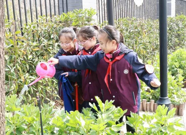 上海世外寶山教育集團成立！這6所學校成爲首批成員校