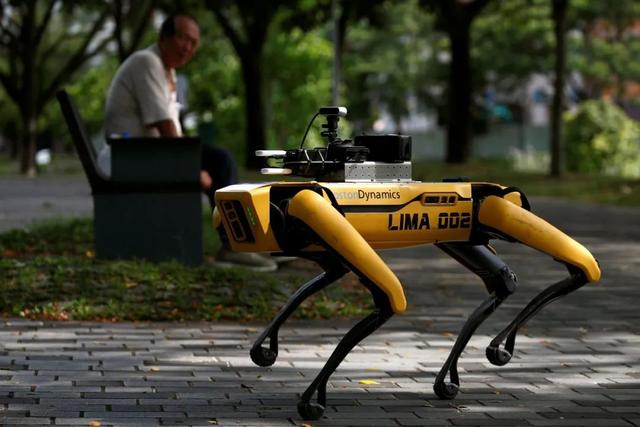這些“機器人”正在取代人類