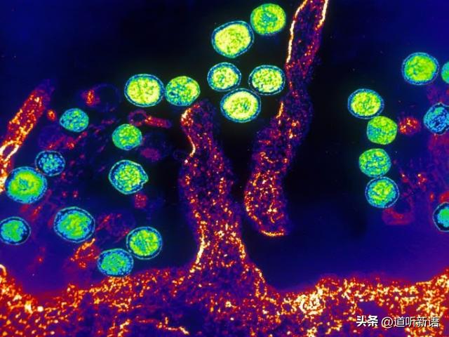 COVID促使全球生物安全实验室激增