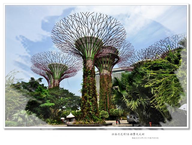 全球最國際化的國家—有“花園城市”美譽的“獅城”新加坡