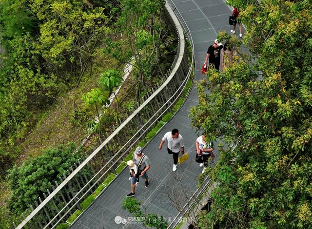 福州有条获国际建筑大奖的空中森林步道