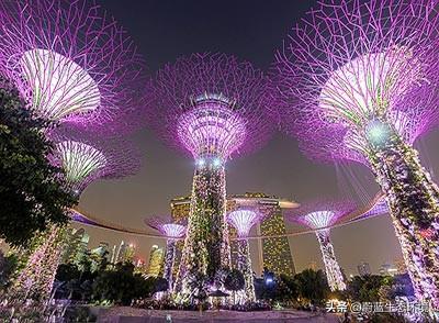 "花园中的城市"景观 -滨海湾花园 Gardens By The Bay