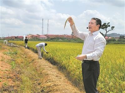 6月13日解放军报导读