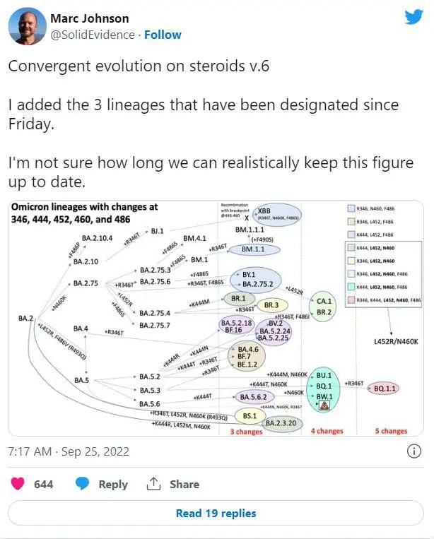 新变种肆虐！XBB病毒逃避免疫能力前所未有！新一波爆发迫在眉睫