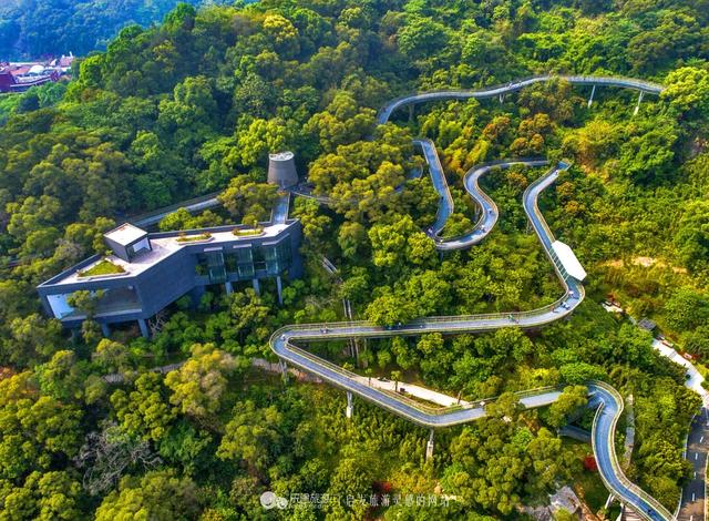 福州有条获国际建筑大奖的空中森林步道