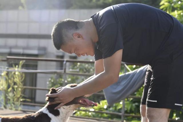 警犬训导员十二时辰，带您看看福州这位辅警的一天！