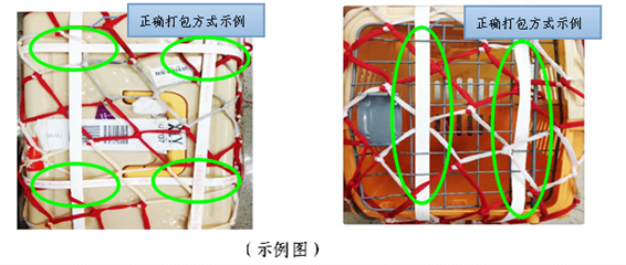 瑞贝仕-海南航空旅客携带小动物出行托运攻略