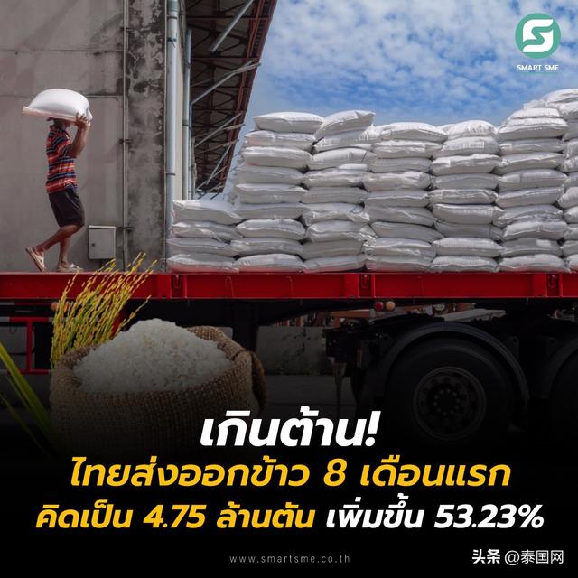 2022年1-8月泰國大米出口破475萬噸 位居世界第二