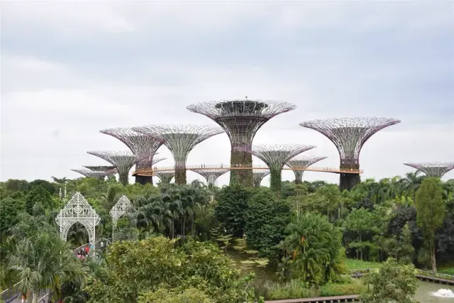 除了你熟知的魚尾獅之外：“花園城市”新加坡的最美打卡地大賞！