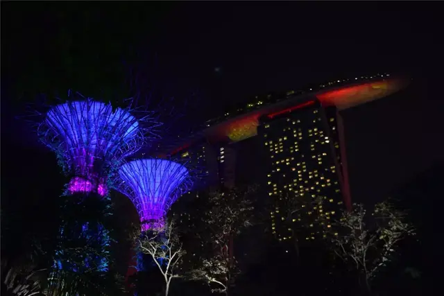 除了你熟知的魚尾獅之外：“花園城市”新加坡的最美打卡地大賞！