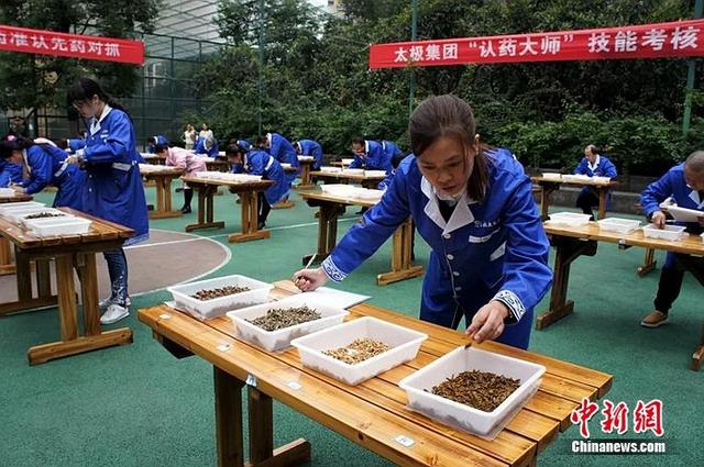 太极集团被定为重庆市中医药文化体验场馆 致力中医药文化传承