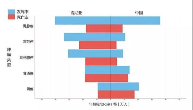 邁出國門，紮根世界｜|柏視與謝諾達成東非醫療戰略合作