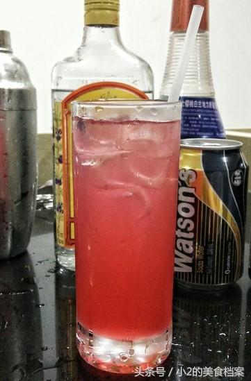 每日鸡尾酒之新加坡司令 Singapore Sling