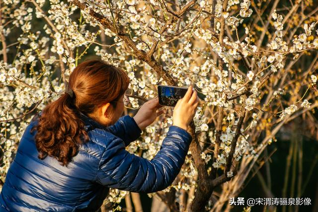 沿着风景道路、沟渠等自然和人工廊道建设，可供游人和骑车者徜徉