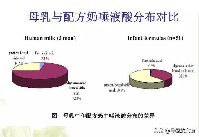 促进宝宝大脑发育，除了DHA，别忘记补充它......营养界的新宠儿