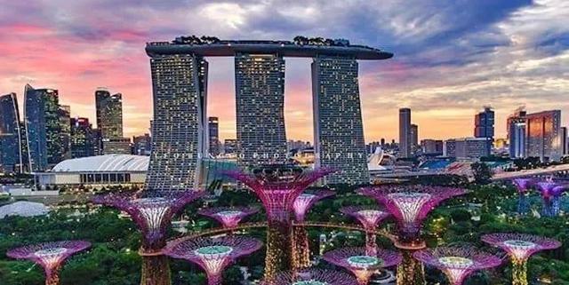 新加坡 | 关于最新科技准证，你了解多少？