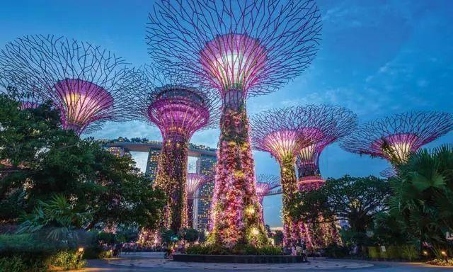 1640元！徐州人可以直飞新加坡了！鱼尾狮像、环球影城、肉骨茶，走起……