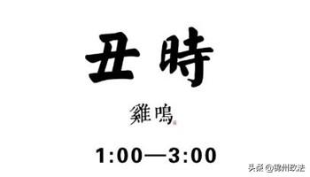 警犬訓導員和小夥伴的十二時辰，原來是這個樣子！