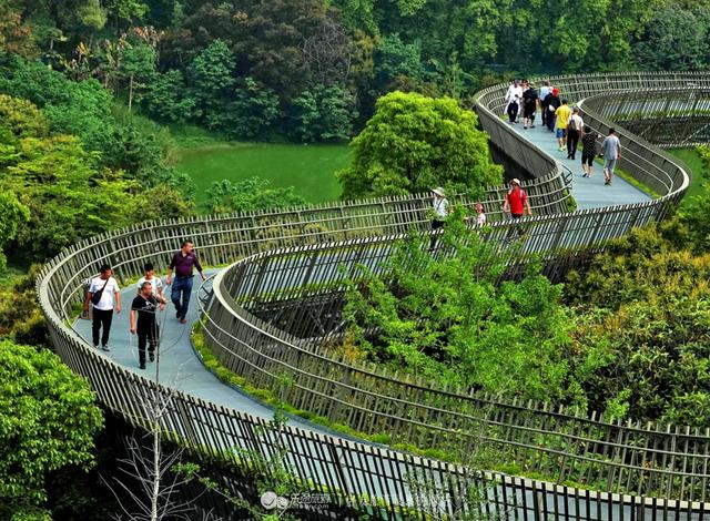 福州有条获国际建筑大奖的空中森林步道