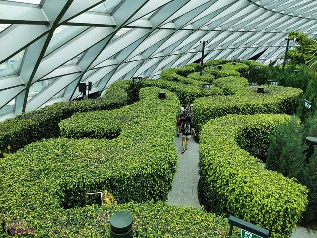 新加坡，星耀樟宜 (Jewel Changi Singapore)