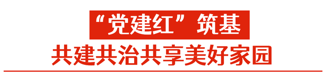 笃行·南山先锋｜城管局党组：“党建红”“城管蓝”“生态绿”共绘美丽南山新画卷