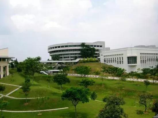 新加坡留学｜就读计算机专业，有什么选择？