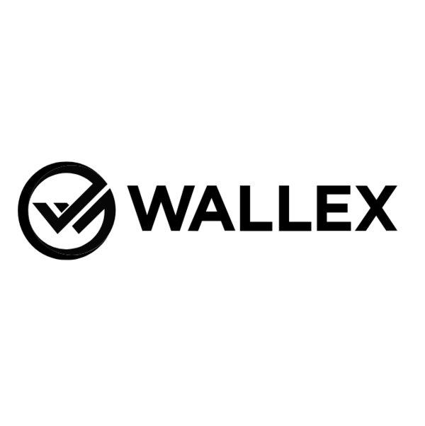 新加坡金融科技初创公司Wallex完成A轮融资 | 美通社