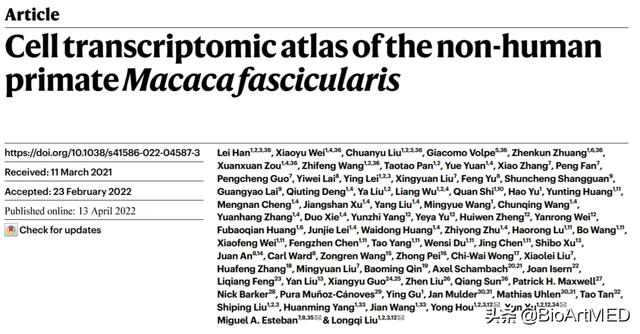 首个非人灵长类动物全细胞图谱，助力人类疾病研究