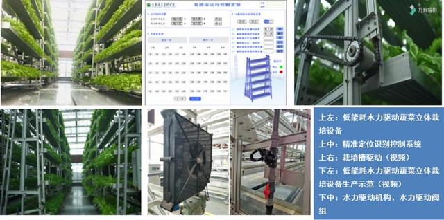 “养鱼不换水，种菜不施肥”——从鱼菜共生到数字农业